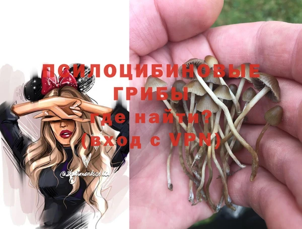 альфа пвп Надым